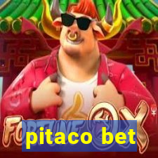 pitaco bet